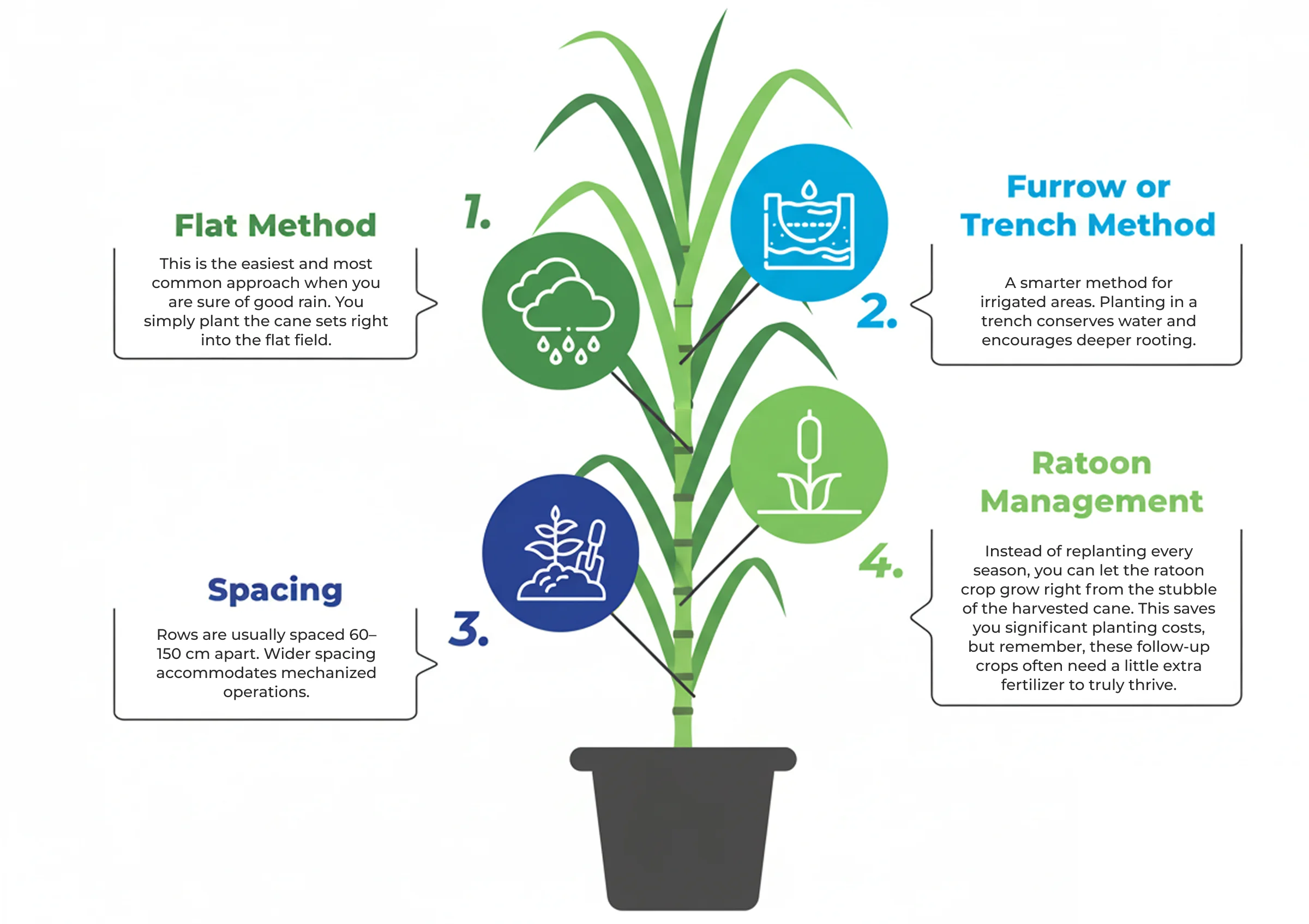 Planting Methods