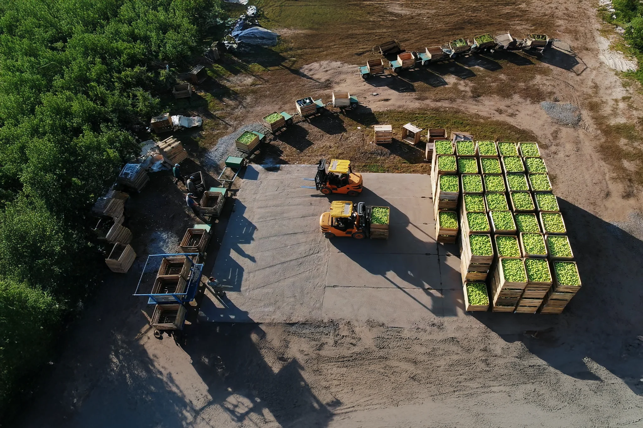 Supply chain disruptions in agriculture and why ai is the essential tool for managing volatility