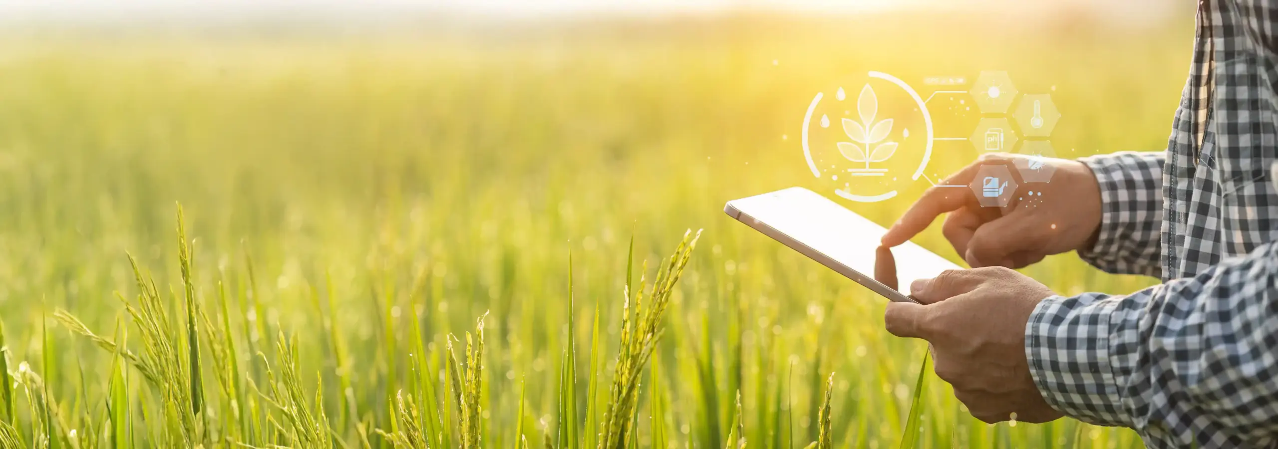 From Reactive to Predictive How Agri Enterprises De Risk Climate Volatility- Banner